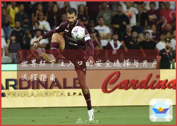 世界杯下注入口的安全选择与开户流程指南