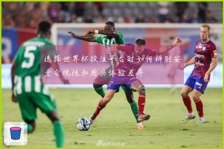 选择世界杯投注平台时如何辨别安全合规性和用户体验差异