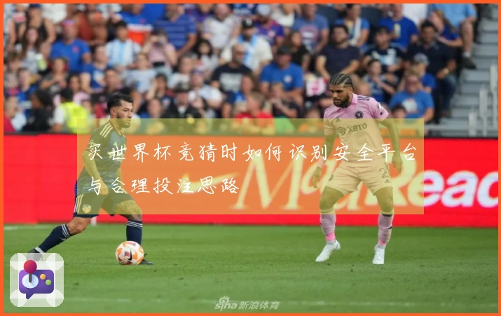 买世界杯竞猜时如何识别安全平台与合理投注思路