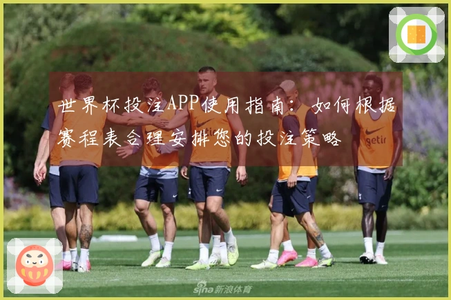 世界杯投注APP使用指南：如何根据赛程表合理安排您的投注策略