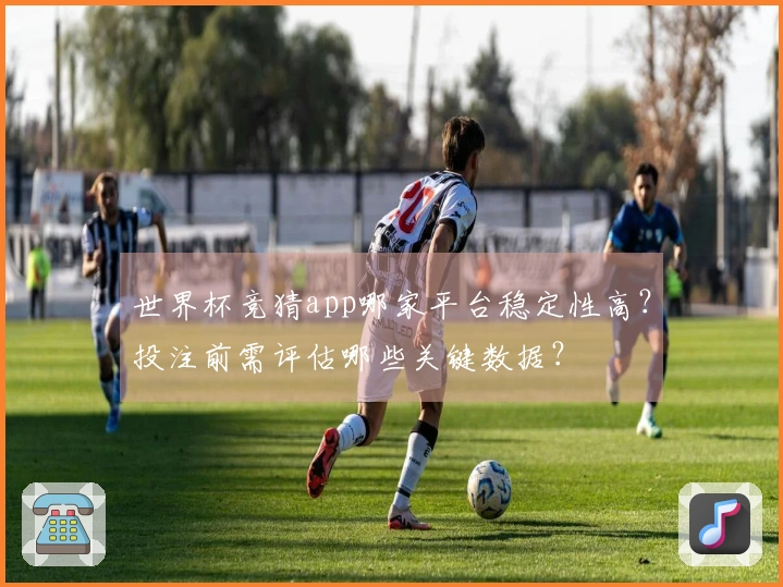 世界杯竞猜app哪家平台稳定性高？投注前需评估哪些关键数据？
