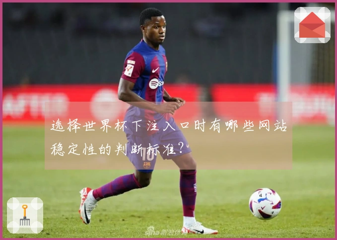 选择世界杯下注入口时有哪些网站稳定性的判断标准？