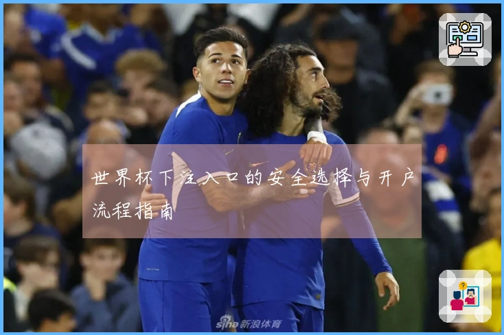 世界杯下注入口的安全选择与开户流程指南